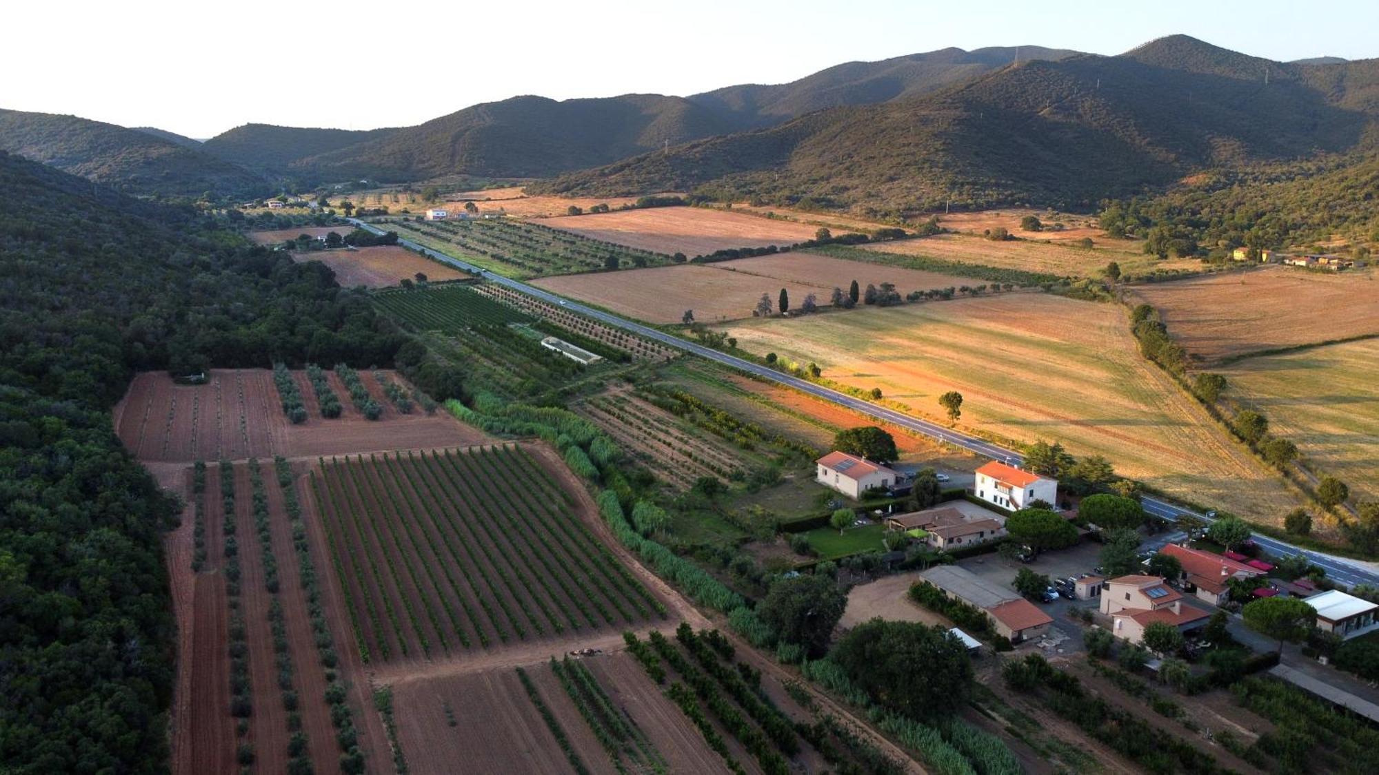 Agriturismo La Sassicaia Castiglione della Pescaia Buitenkant foto